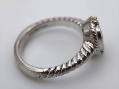 “Colore | SG” sidabro ir aukso žiedas