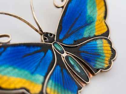 “David-Andersen” sidabro sagė