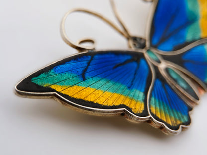 “David-Andersen” sidabro sagė