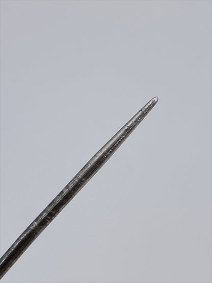 Sidabro sagė smeigtukas