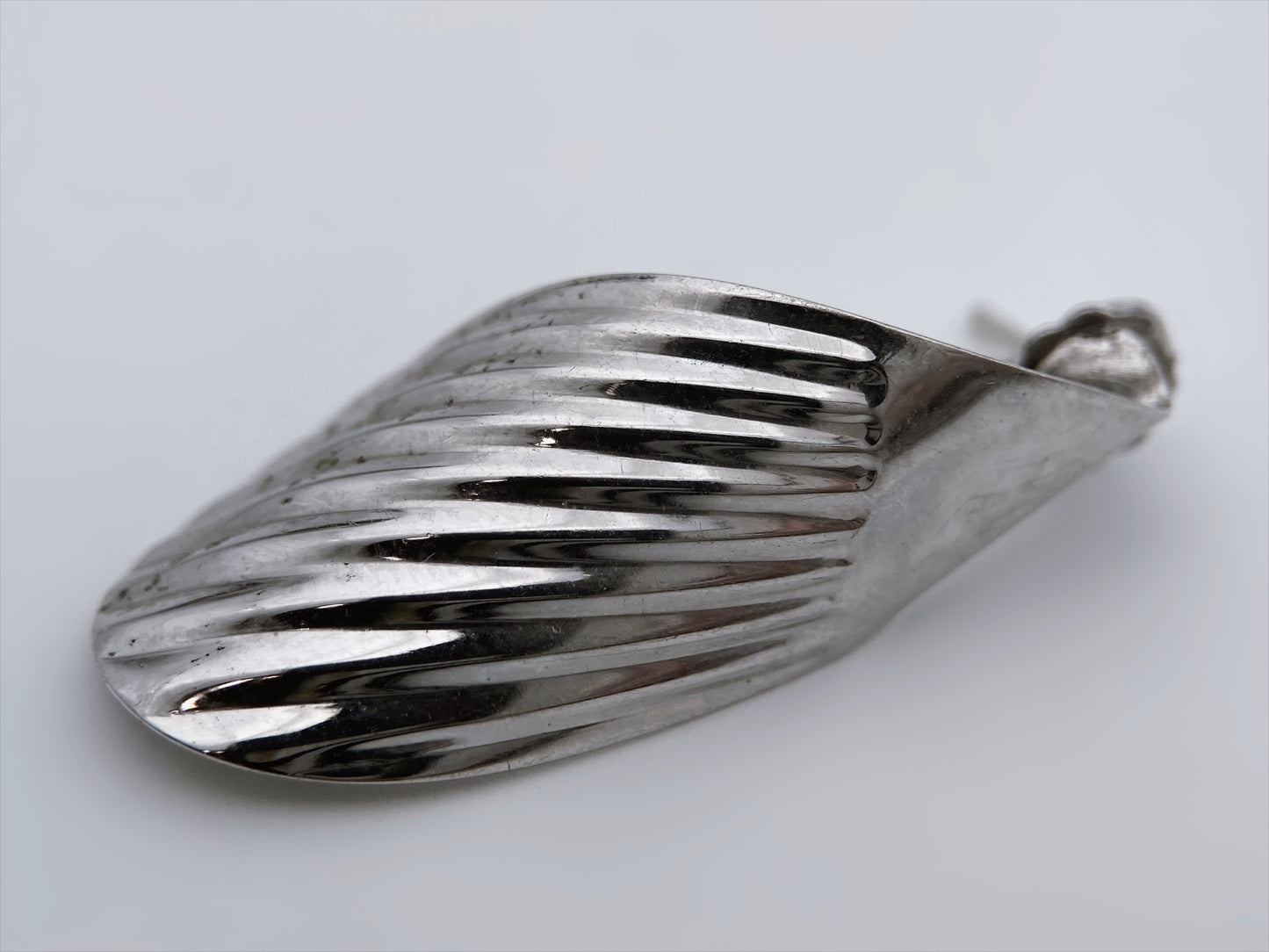 “Carla” sidabro auskarai