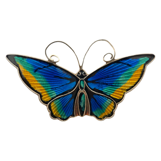 “David-Andersen” sidabro sagė