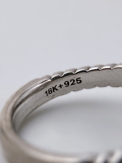 “Colore | SG” sidabro ir aukso žiedas