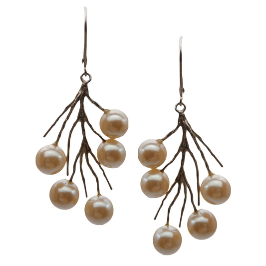 Sidabro ir perlų auskarai