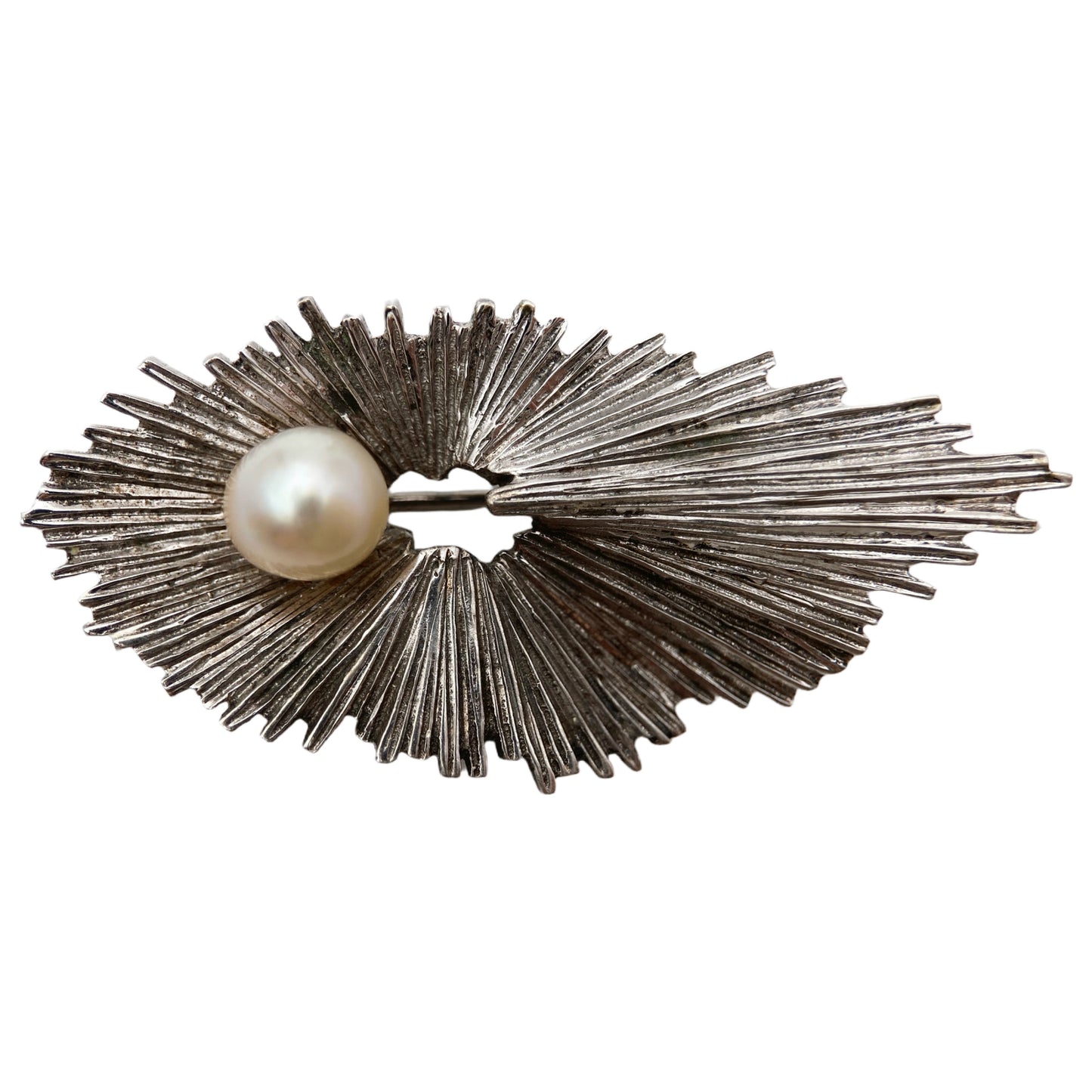 Modernistinė sidabro sagė