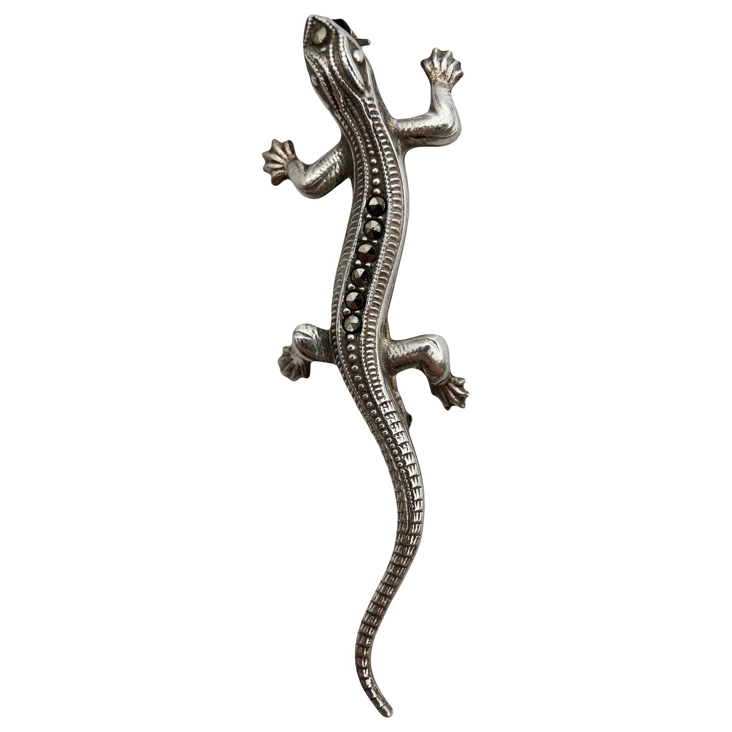 Sagė su markazitais