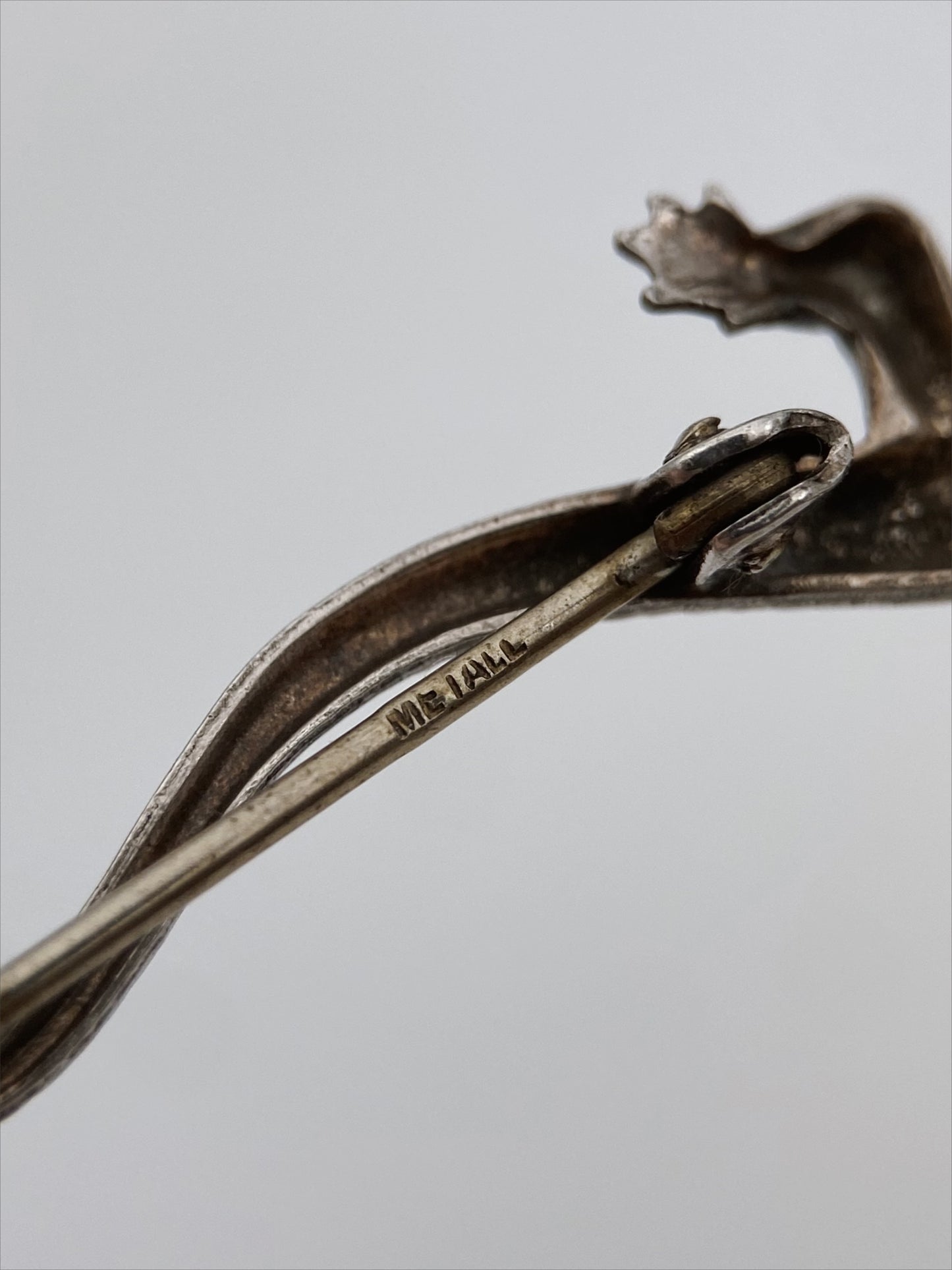 Sagė su markazitais