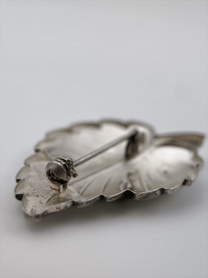 “Teka” sidabro sagė